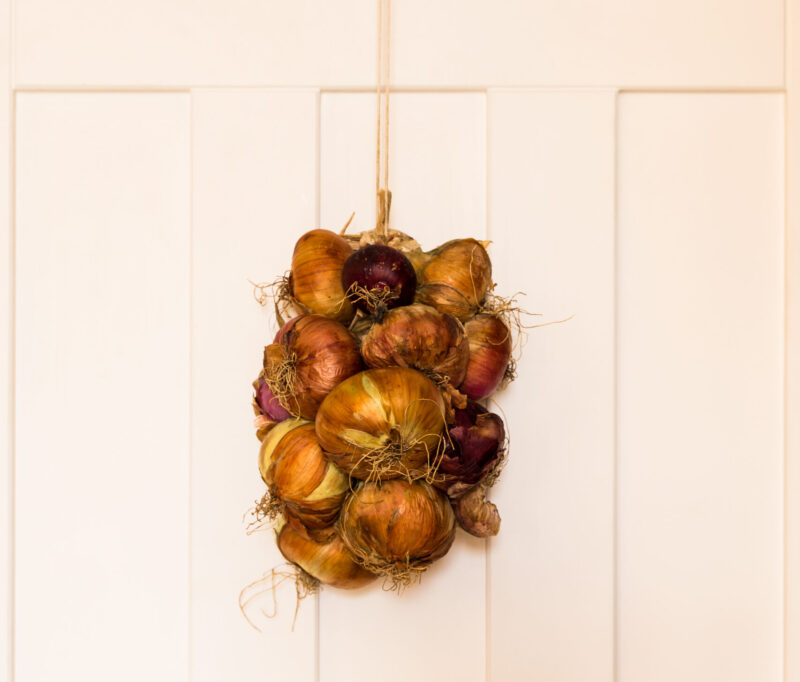 Onion Hanging on Door New Year's Eve Tradition in Greece